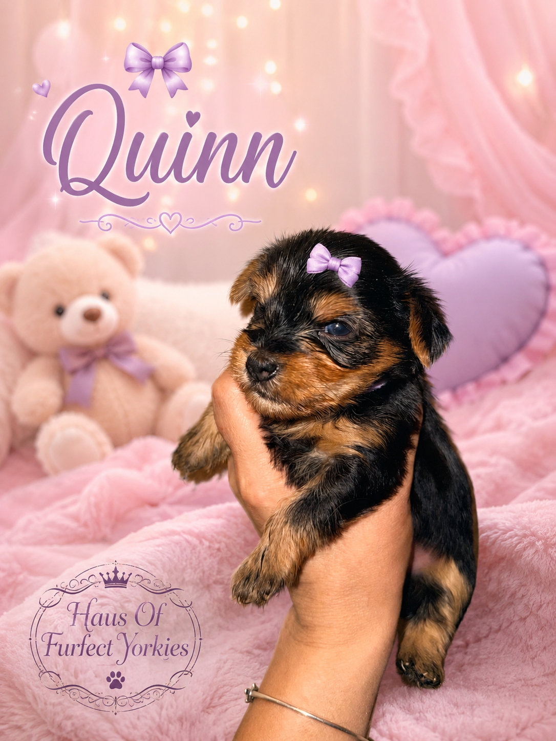 Quinn