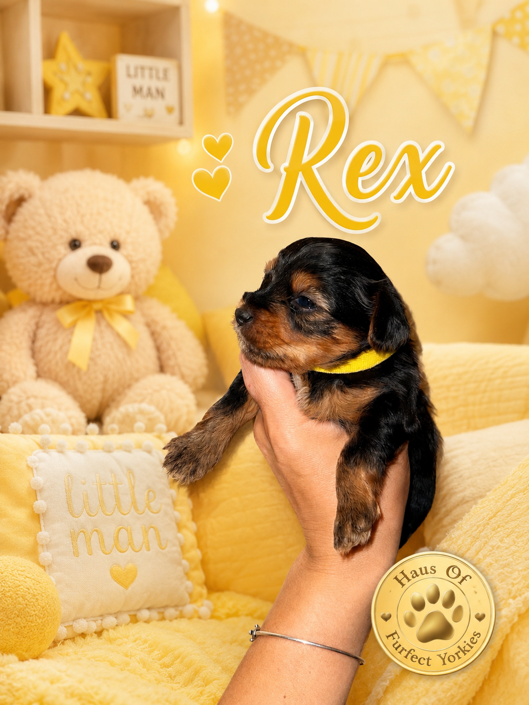 Rex