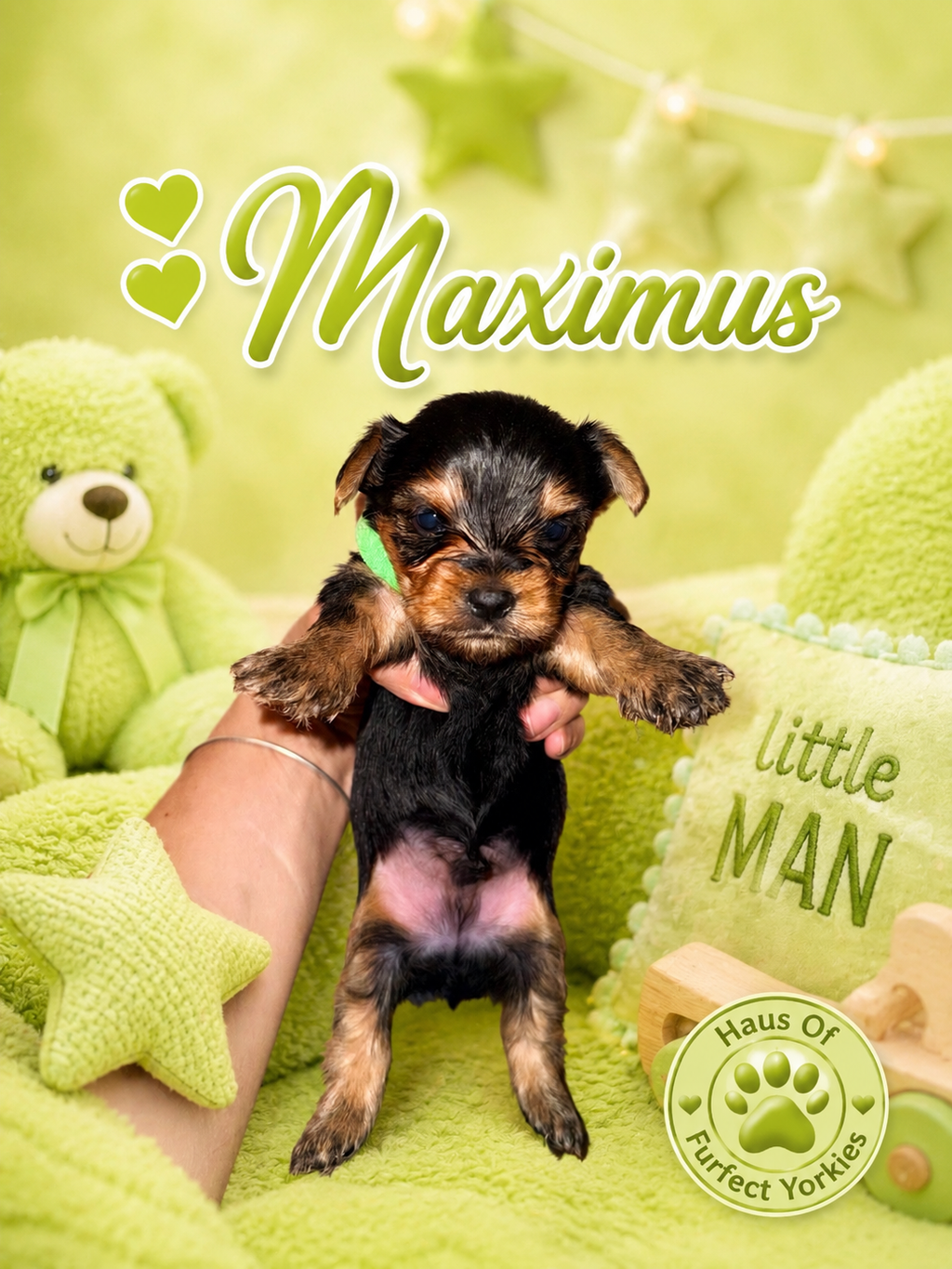 Maximus
