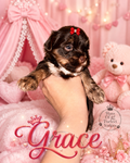 Grace