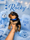 Rocky