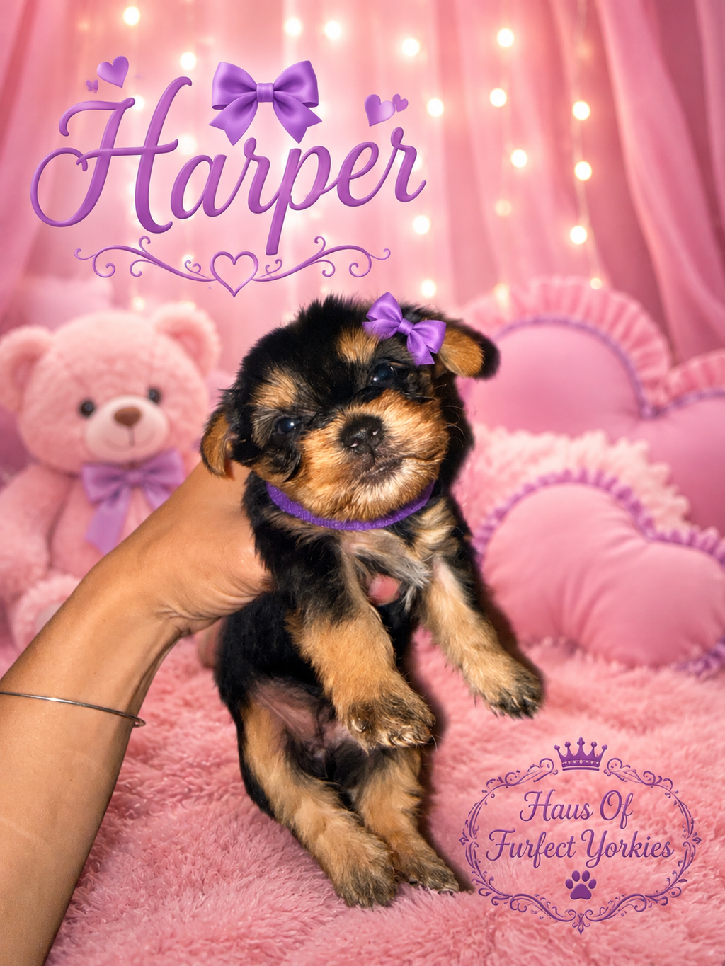 Harper
