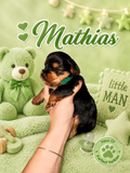 Mathias