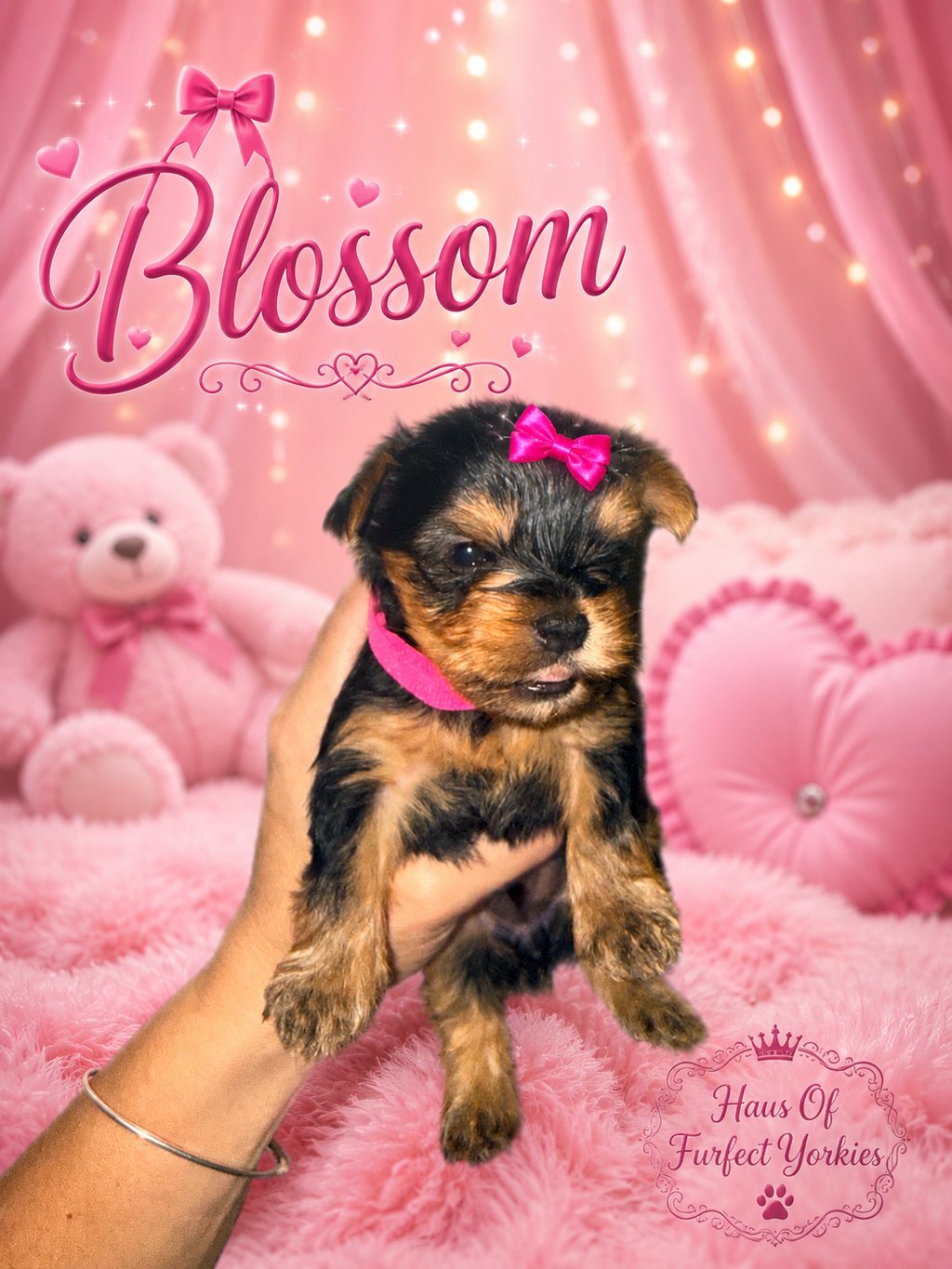 Blossom