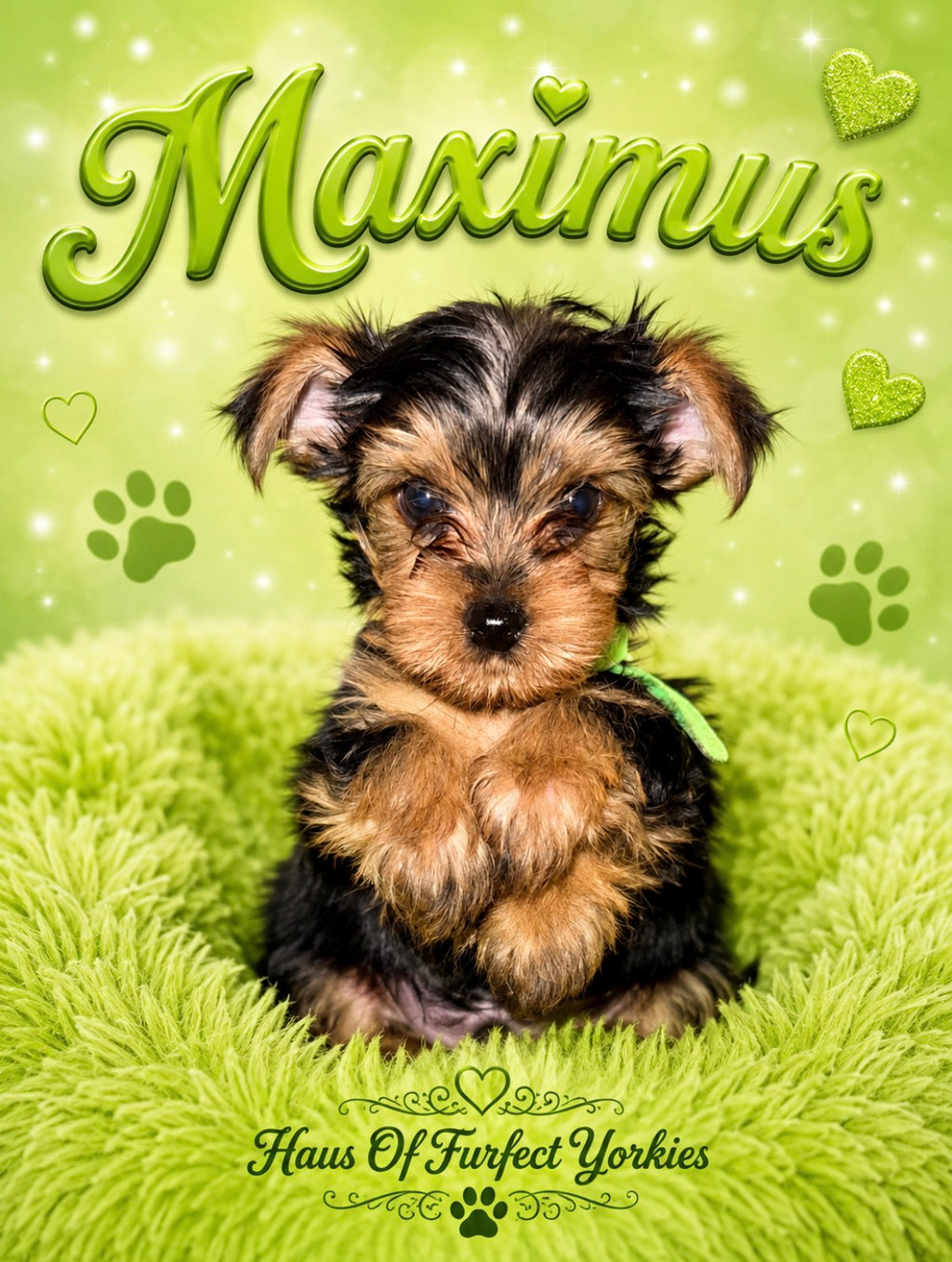 Maximus
