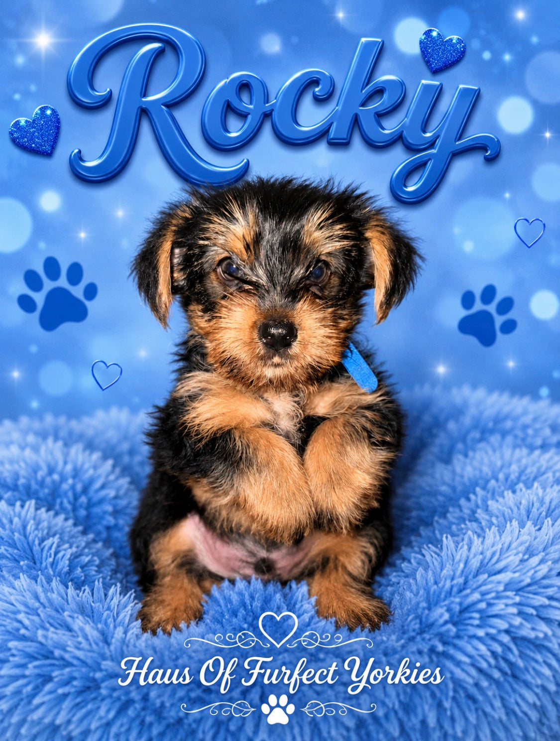 Rocky