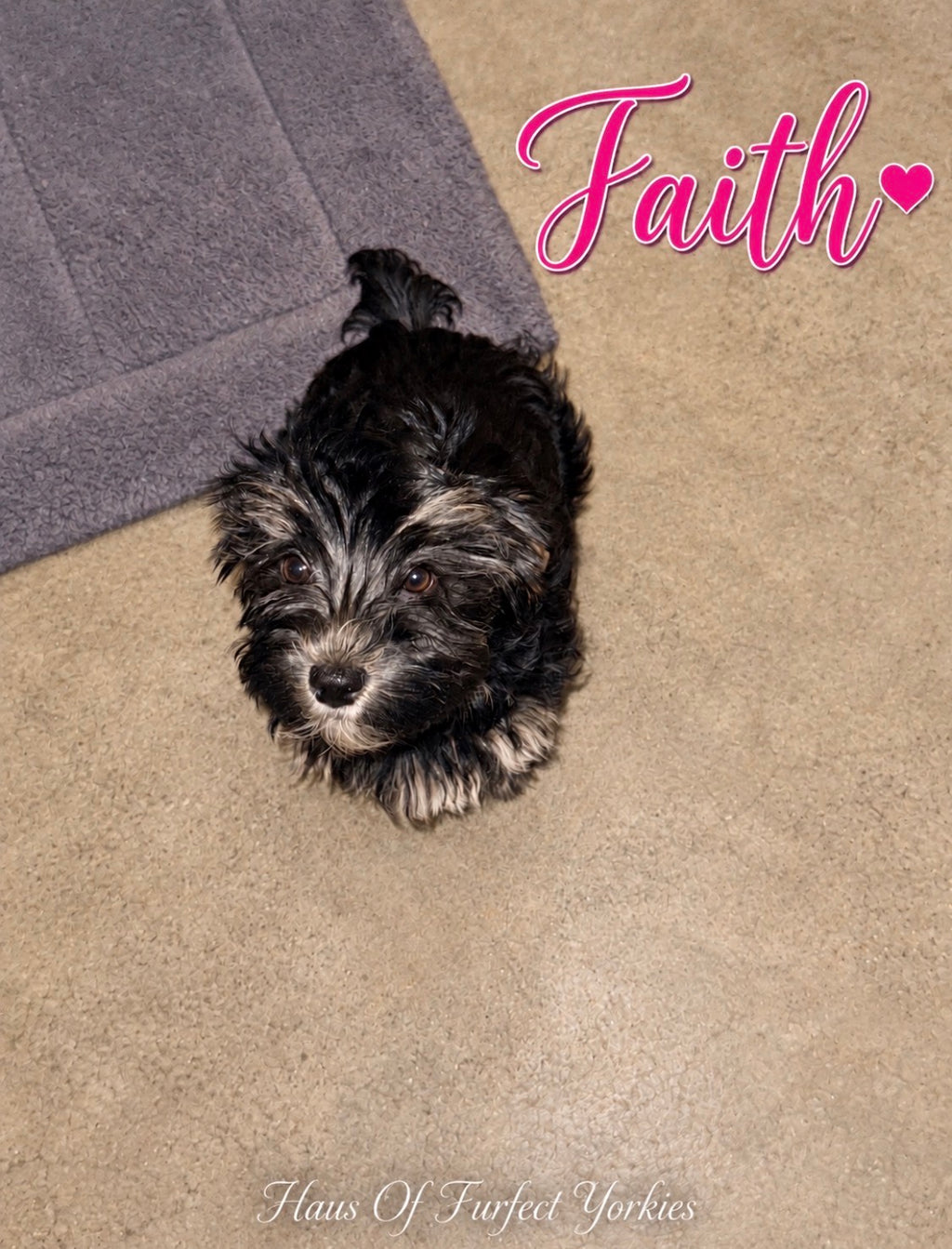 Faith