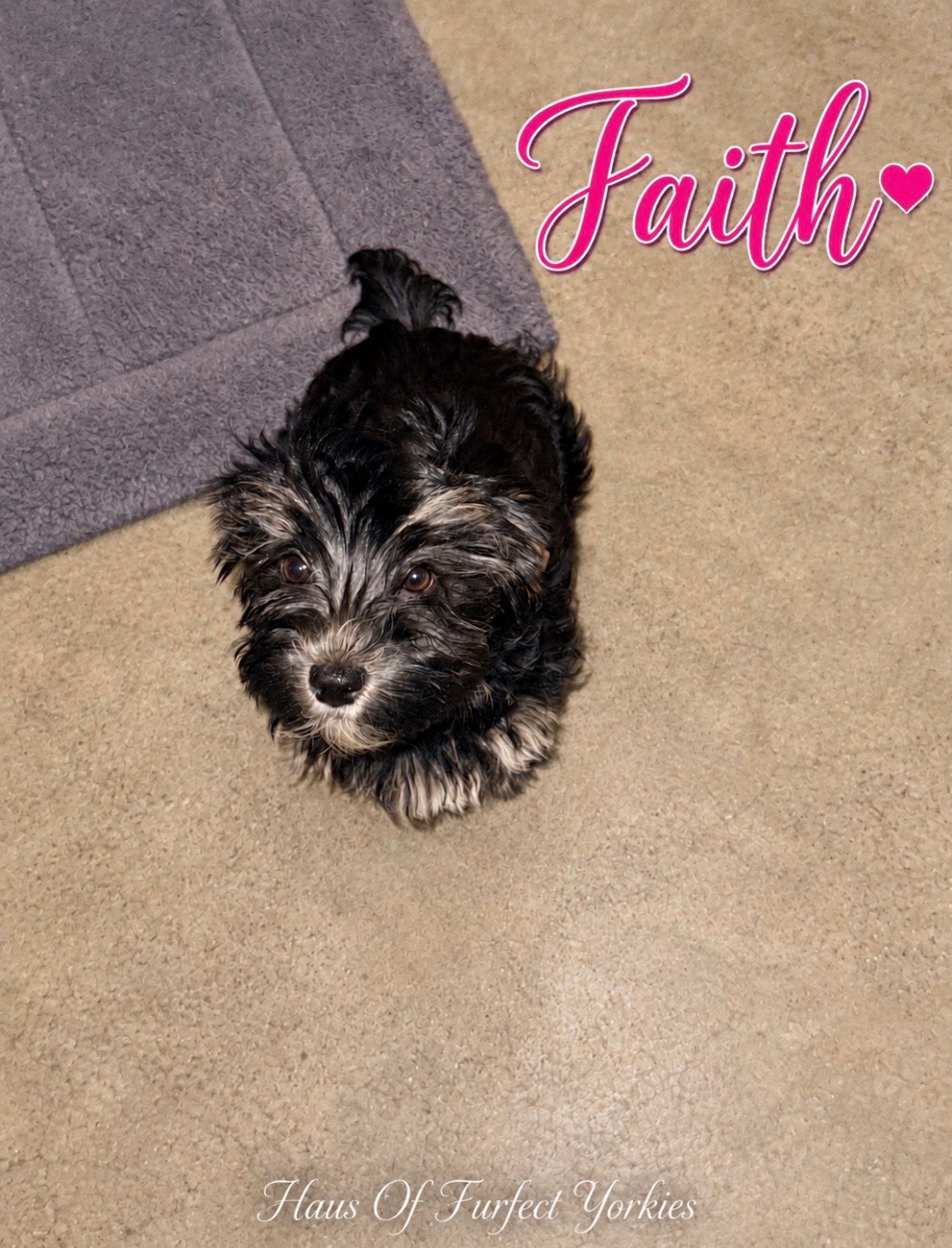 Faith